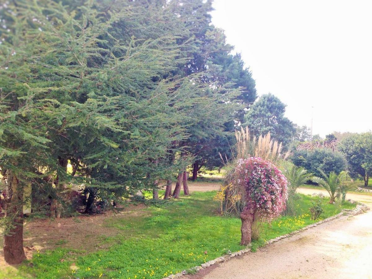 La Macchia Bed & Breakfast Melendugno Bagian luar foto